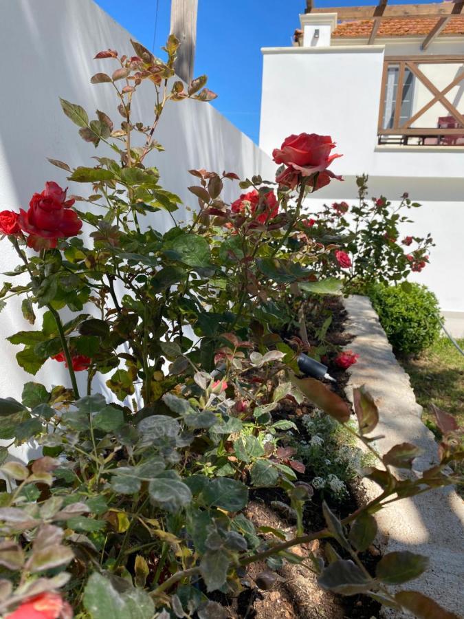 הוילה Exo Khora Kouzoulis House מראה חיצוני תמונה